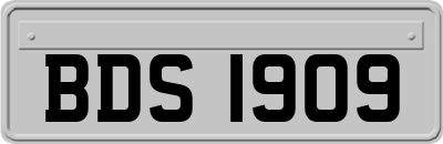 BDS1909