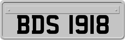 BDS1918