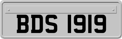 BDS1919