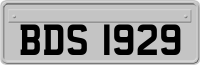 BDS1929