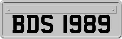 BDS1989