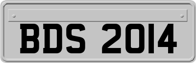 BDS2014