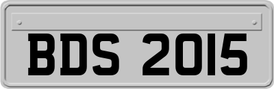 BDS2015