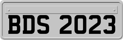 BDS2023