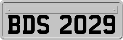 BDS2029
