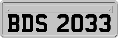 BDS2033