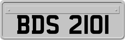 BDS2101