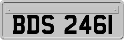 BDS2461