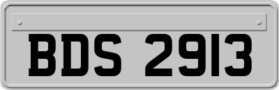 BDS2913