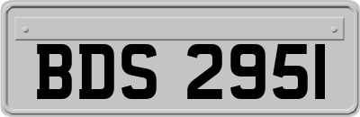 BDS2951