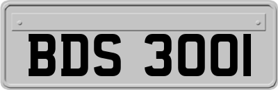 BDS3001