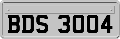 BDS3004