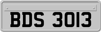 BDS3013