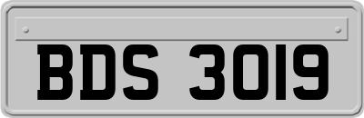 BDS3019