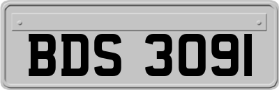 BDS3091