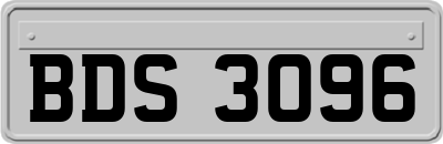 BDS3096