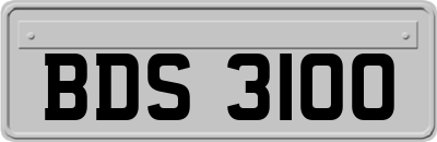 BDS3100