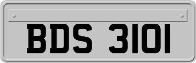 BDS3101