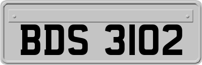 BDS3102