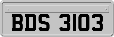 BDS3103