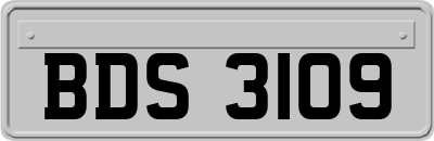 BDS3109