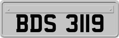 BDS3119