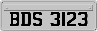 BDS3123