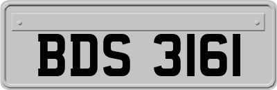BDS3161