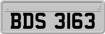 BDS3163