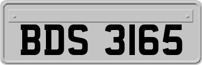 BDS3165