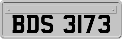 BDS3173