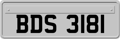 BDS3181