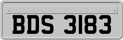 BDS3183