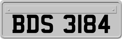 BDS3184