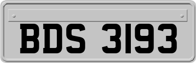 BDS3193