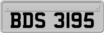 BDS3195