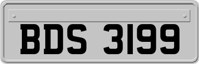 BDS3199