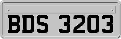 BDS3203