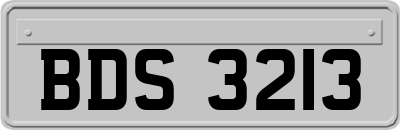 BDS3213