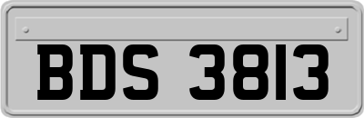 BDS3813