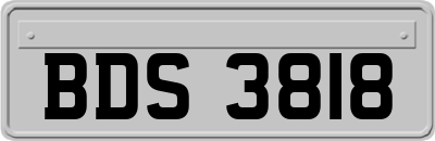 BDS3818