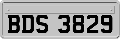 BDS3829