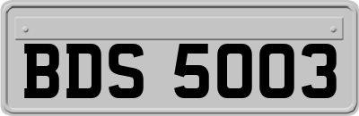 BDS5003