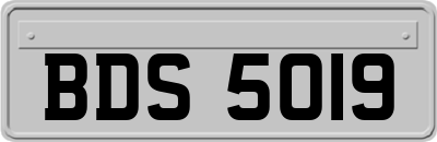 BDS5019