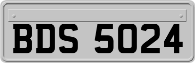 BDS5024