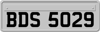 BDS5029
