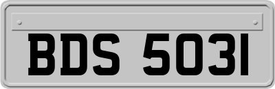 BDS5031