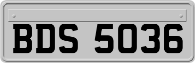 BDS5036