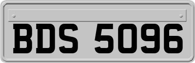 BDS5096
