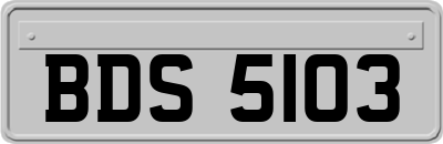 BDS5103